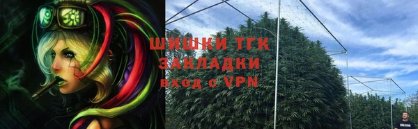 PSILOCYBIN Гусев